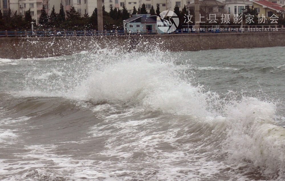 P1120644.jpg