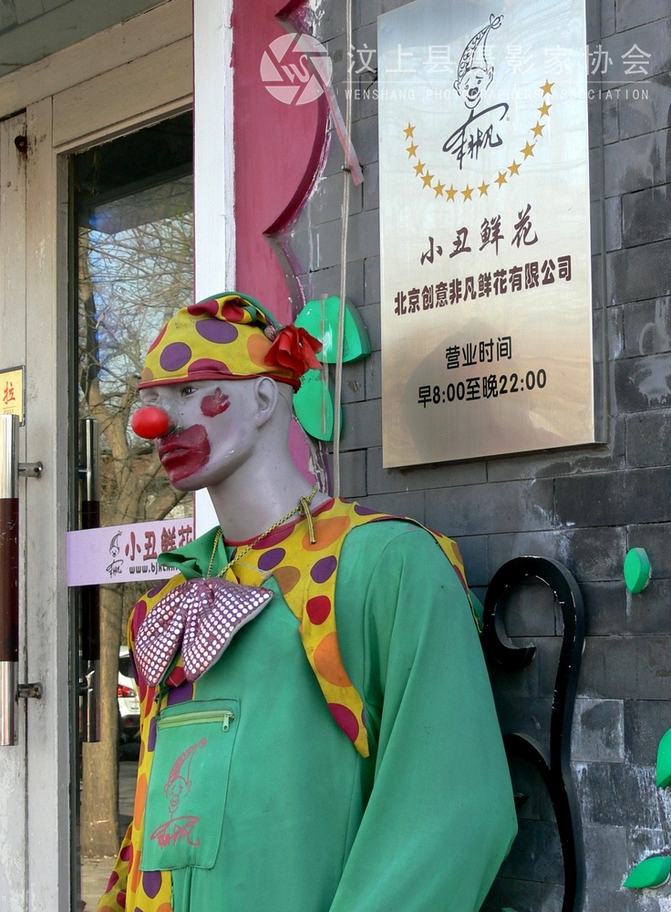 P1110841.jpg