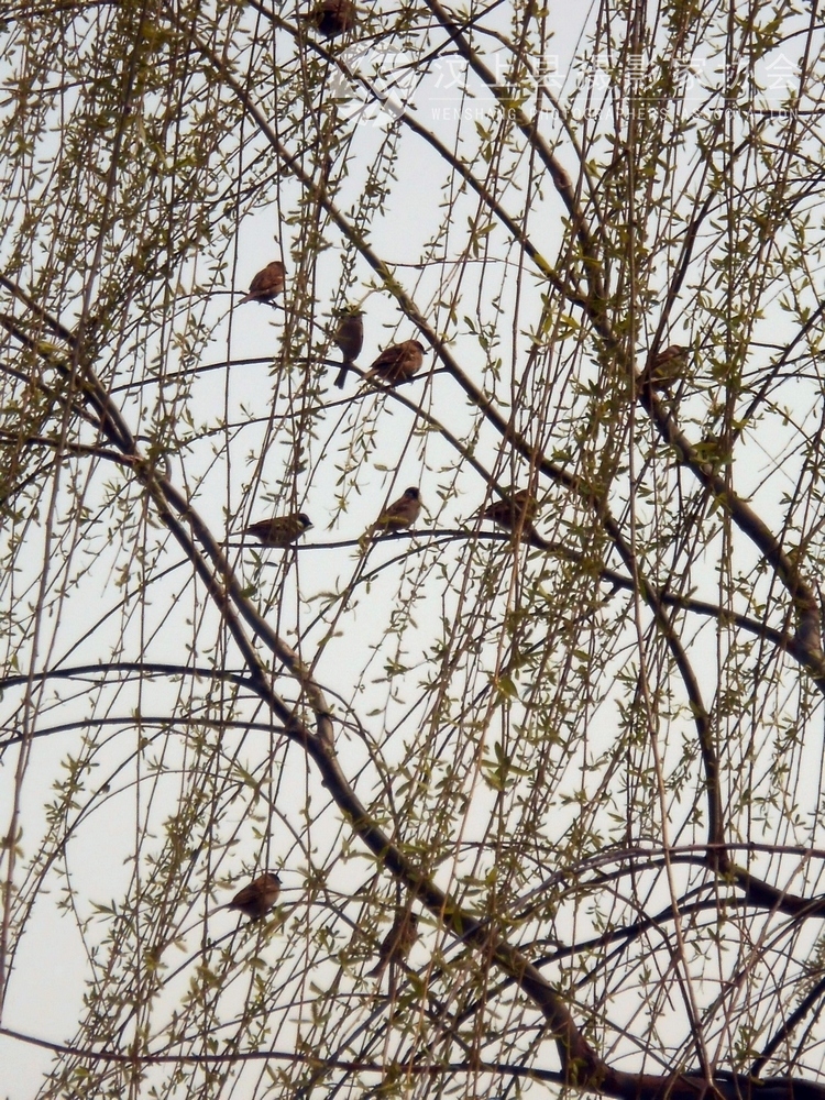 DSCN0190.jpg