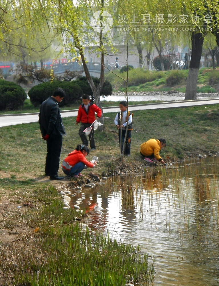 DSCN0231.jpg