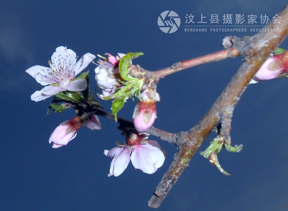 照片 305.jpg
