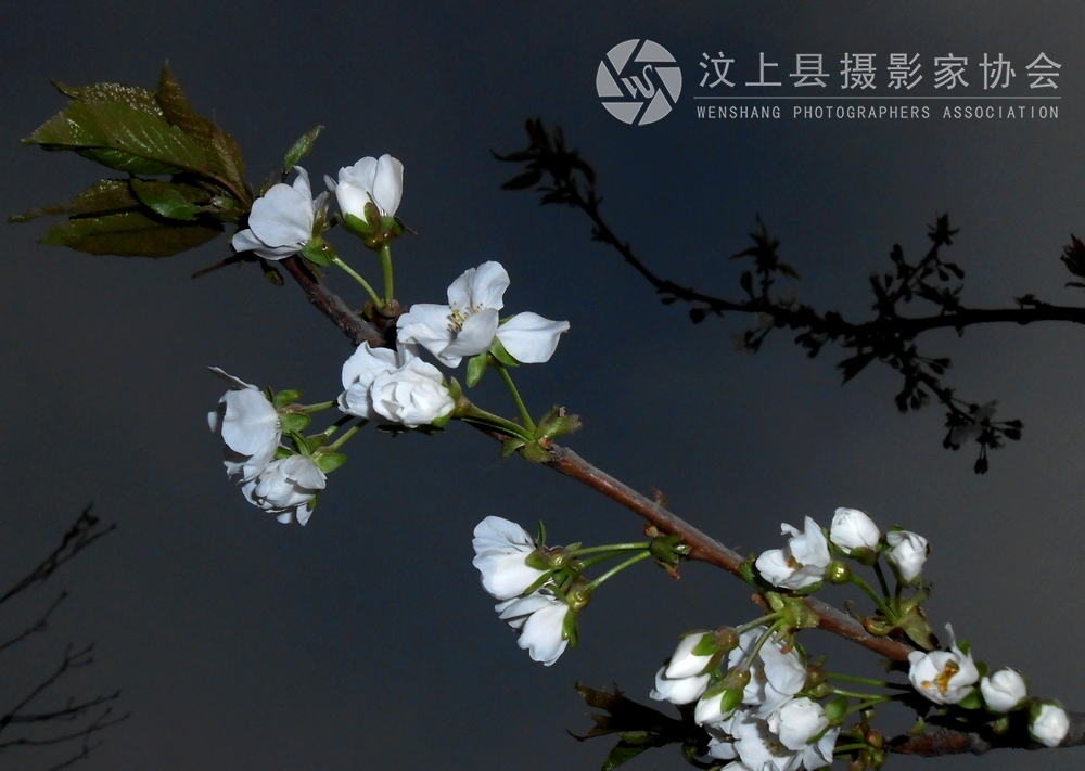 照片 318.jpg