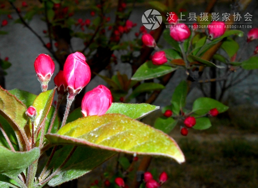 照片 336.jpg
