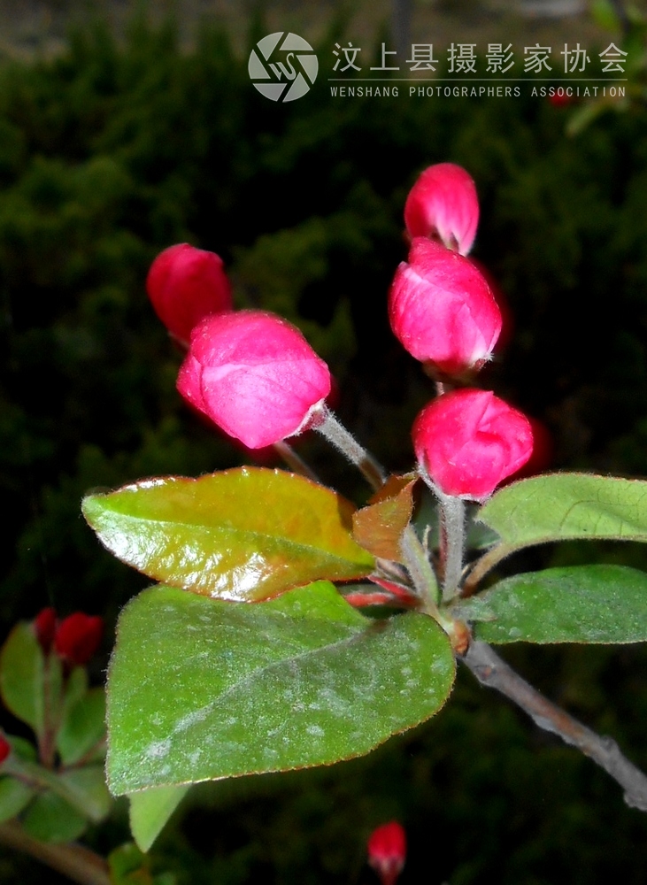 照片 341.jpg