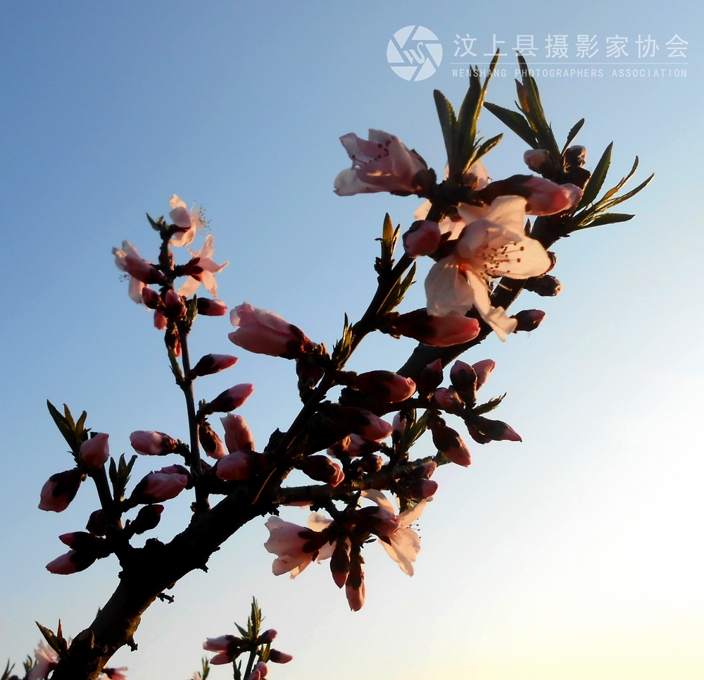 照片 323.jpg