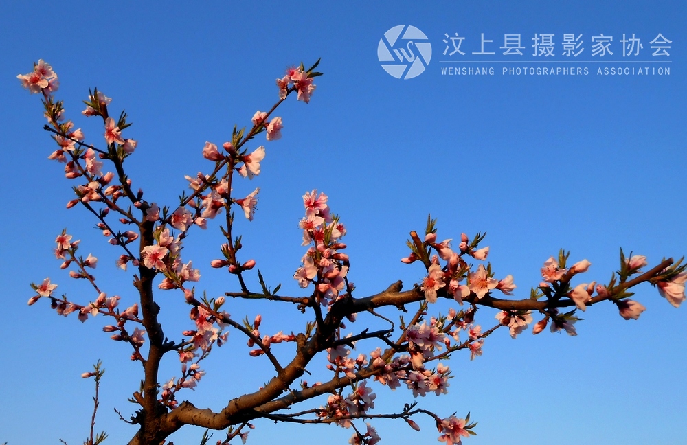 照片 331.jpg