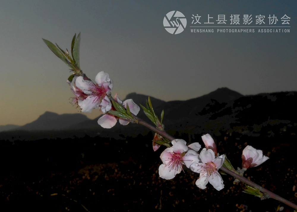 照片 311.jpg