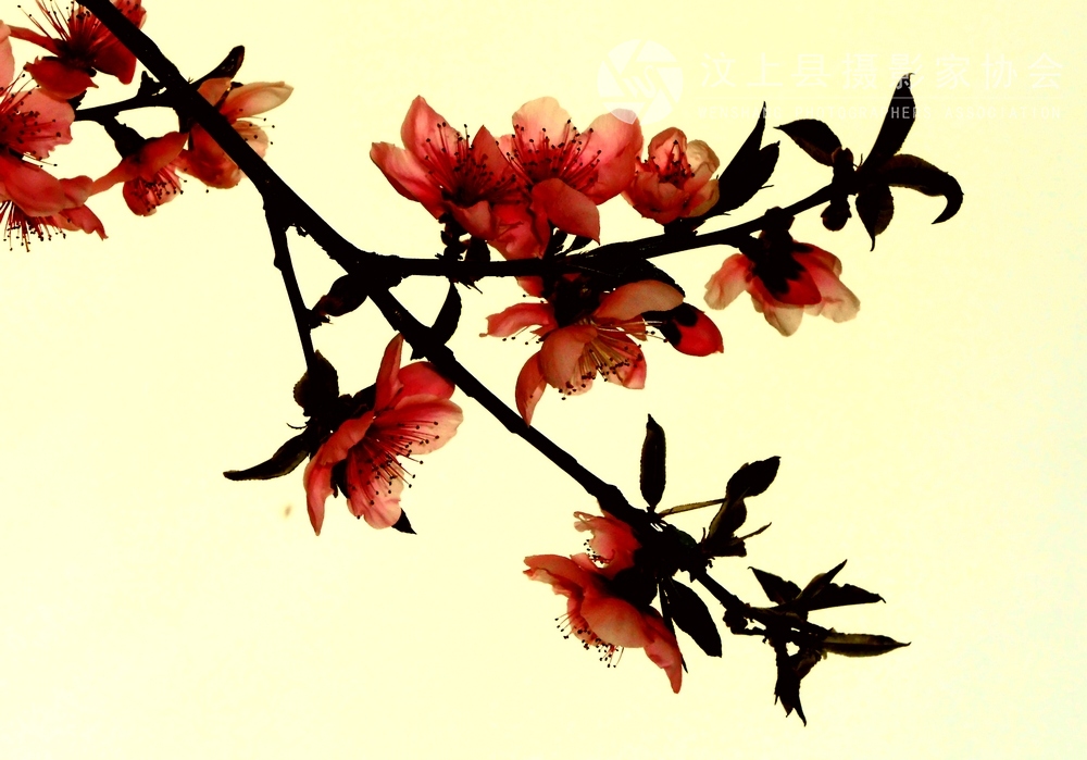DSCN1027.jpg