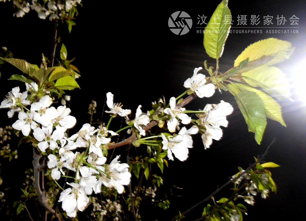 DSCN1056.jpg