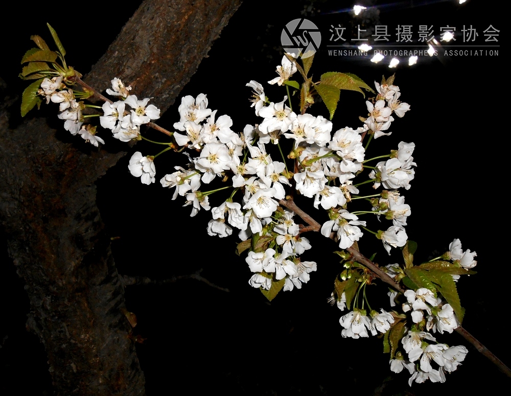 DSCN1071.jpg