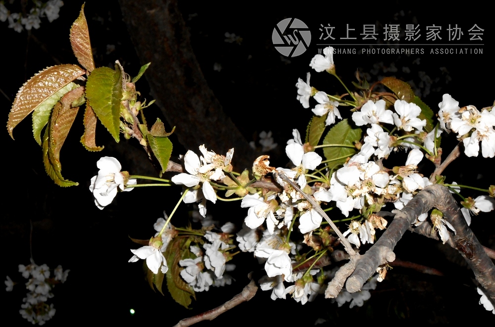 DSCN1073.jpg
