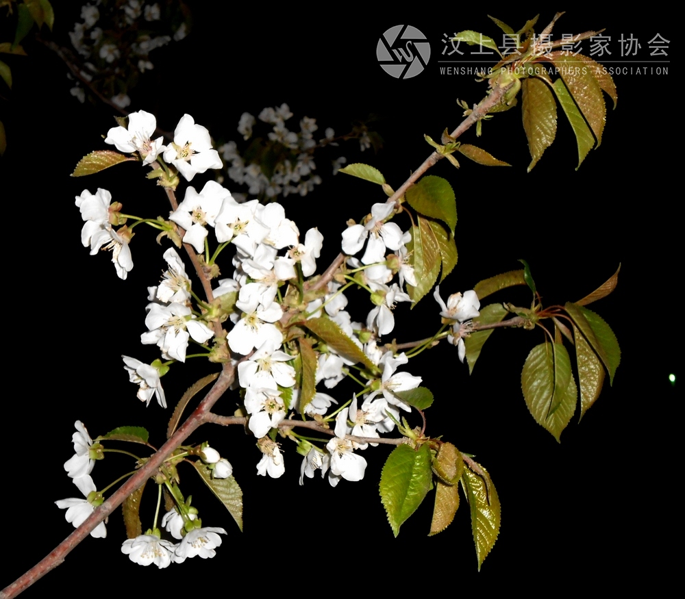 DSCN1076.jpg