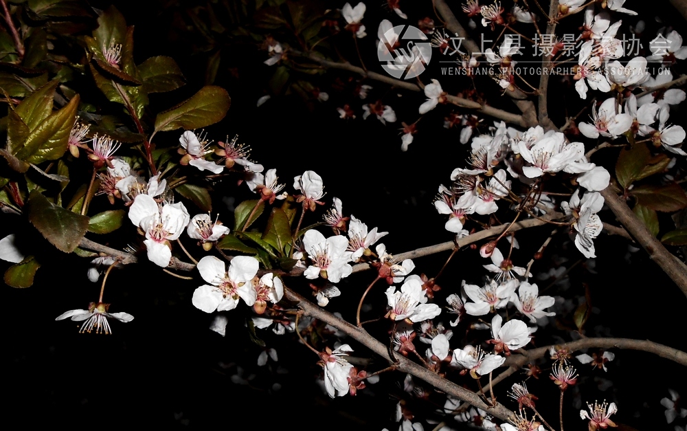 DSCN1102.jpg