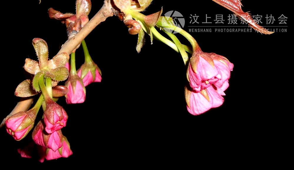 DSCN1111.jpg