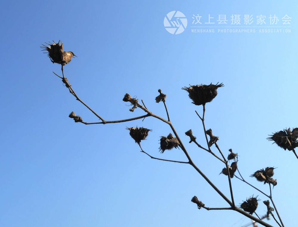 照片 599.jpg
