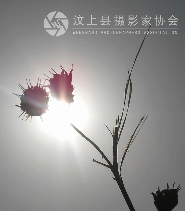 照片 605.jpg