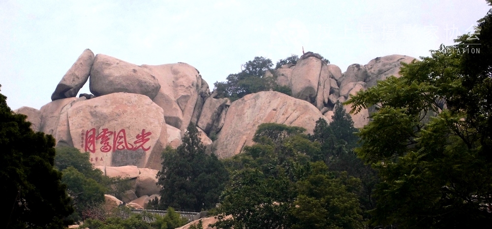 DSCI0184.jpg