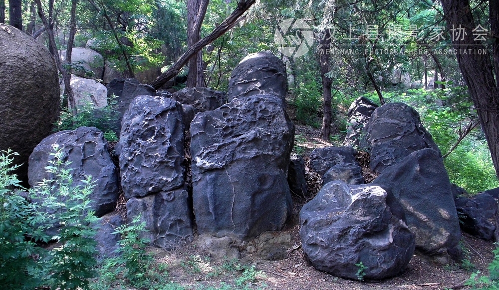 DSCI0261.jpg