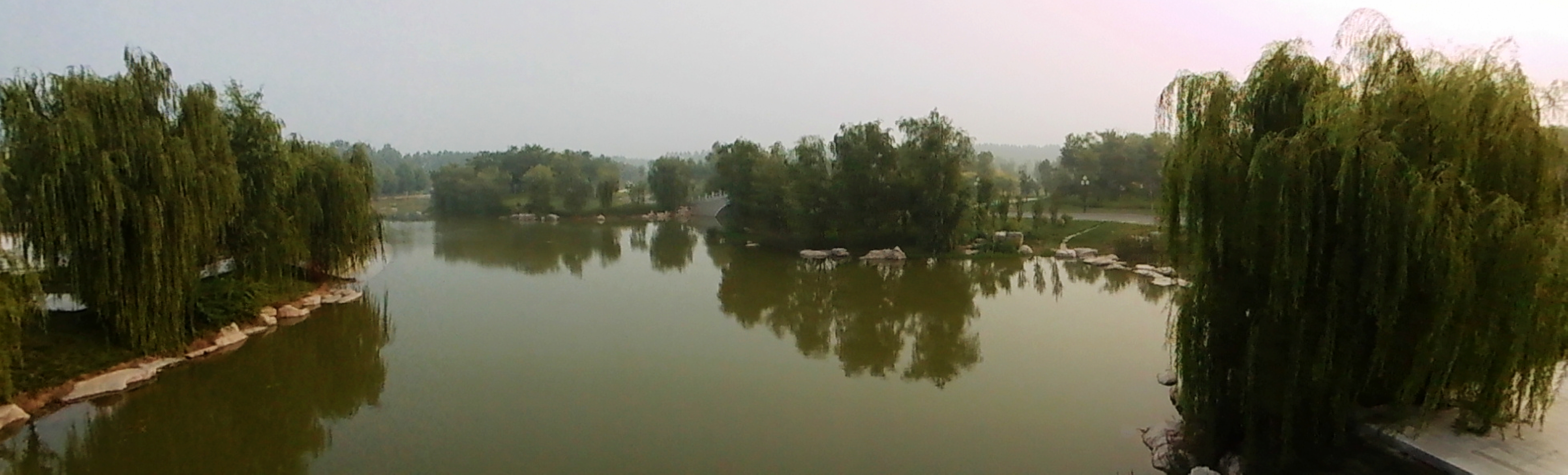 DSCI0263.jpg