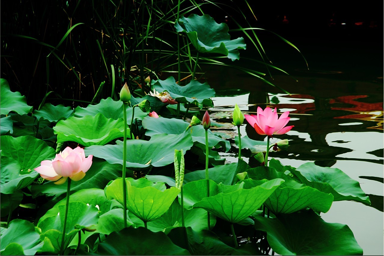 QQ图片20130710155825.jpg