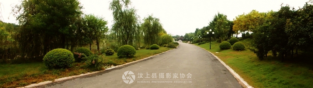 DSCI0229.jpg