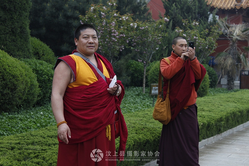 喇嘛们在汶上宝相寺拍照
