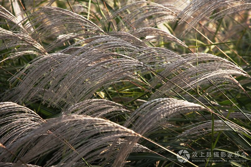 照片 620_副本.jpg