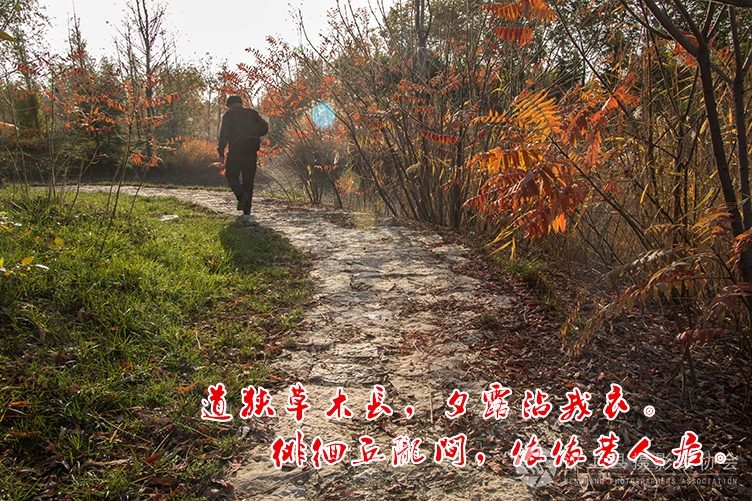 汶上 摄影