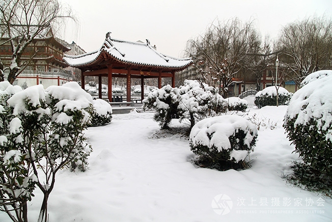 汶上礼佛大道雪景照片