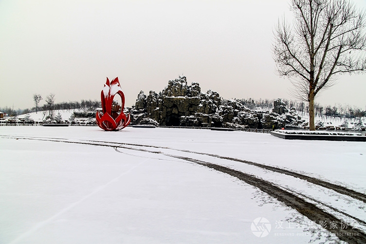汶上莲花湖湿地雪景