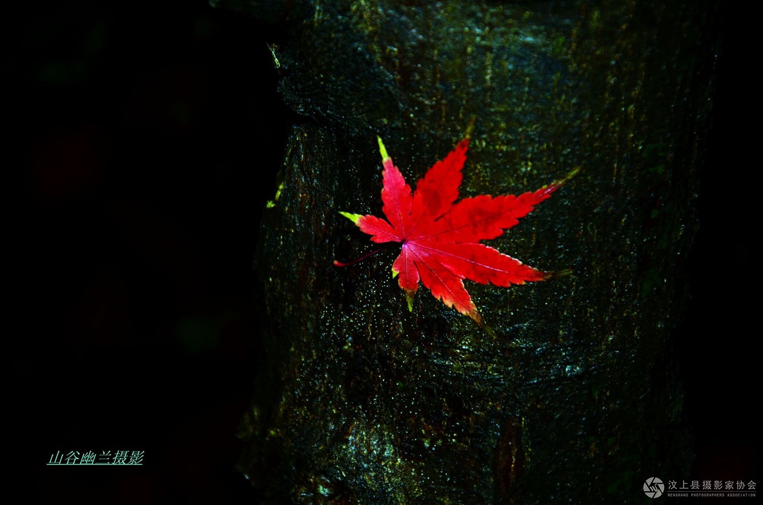 刻骨铭心.jpg