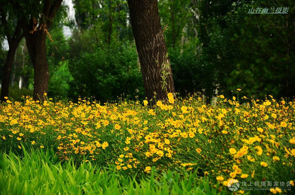 繁花.jpg