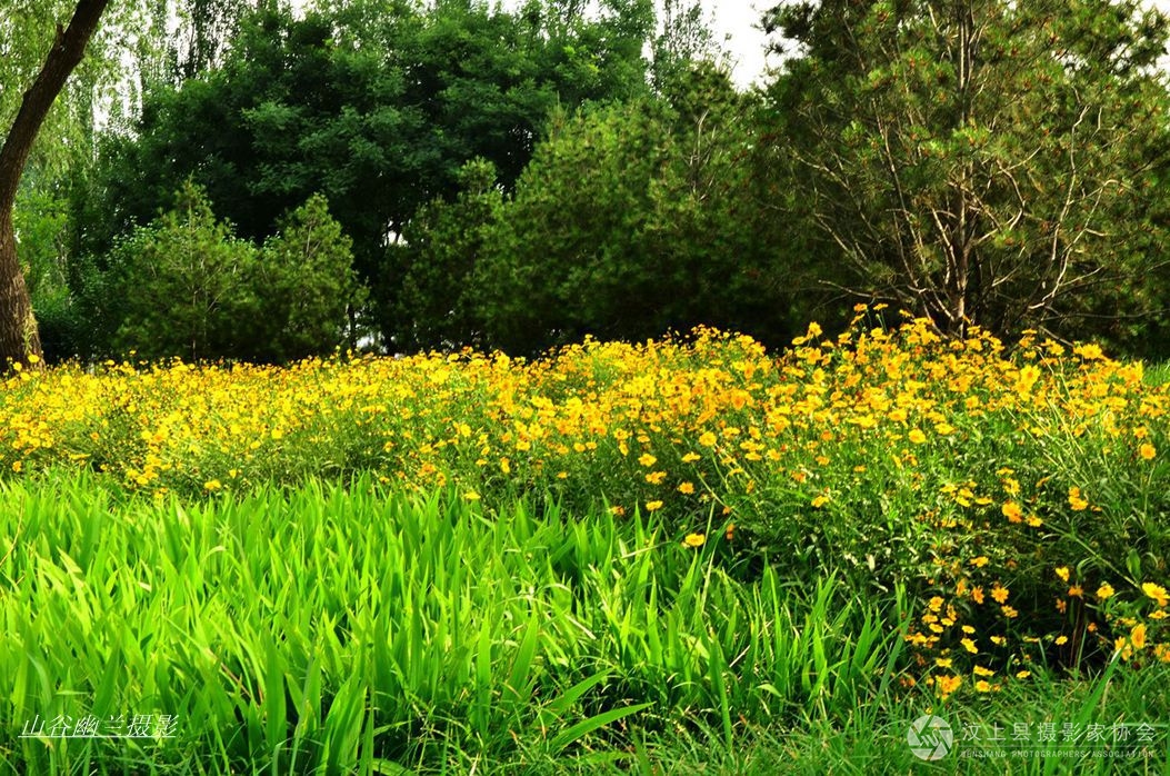 南湖岸边花草盛.jpg
