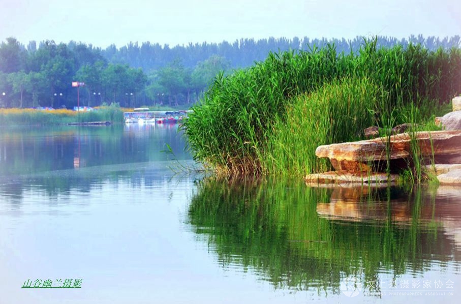 莲花湖波光潋滟.jpg