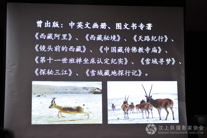 照片 013_副本.jpg