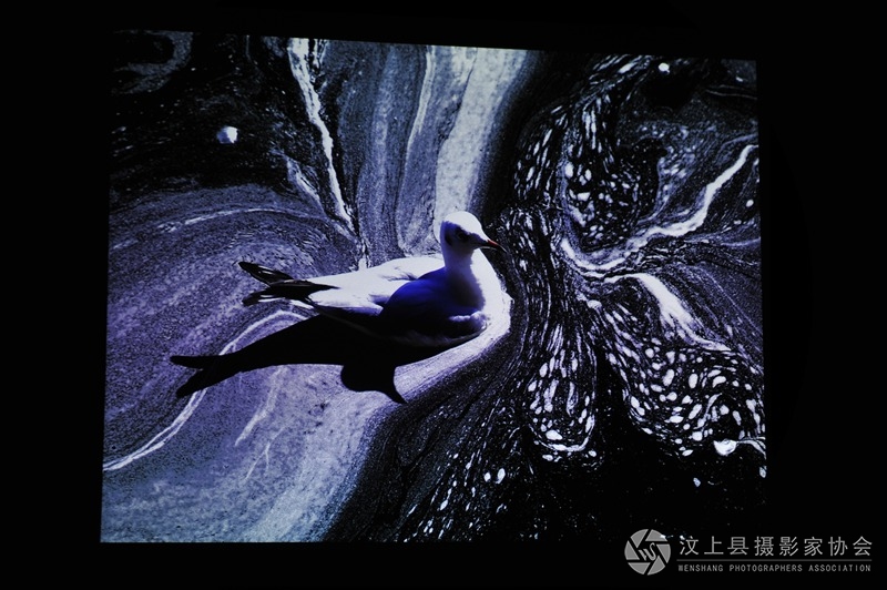 照片 060_副本.jpg