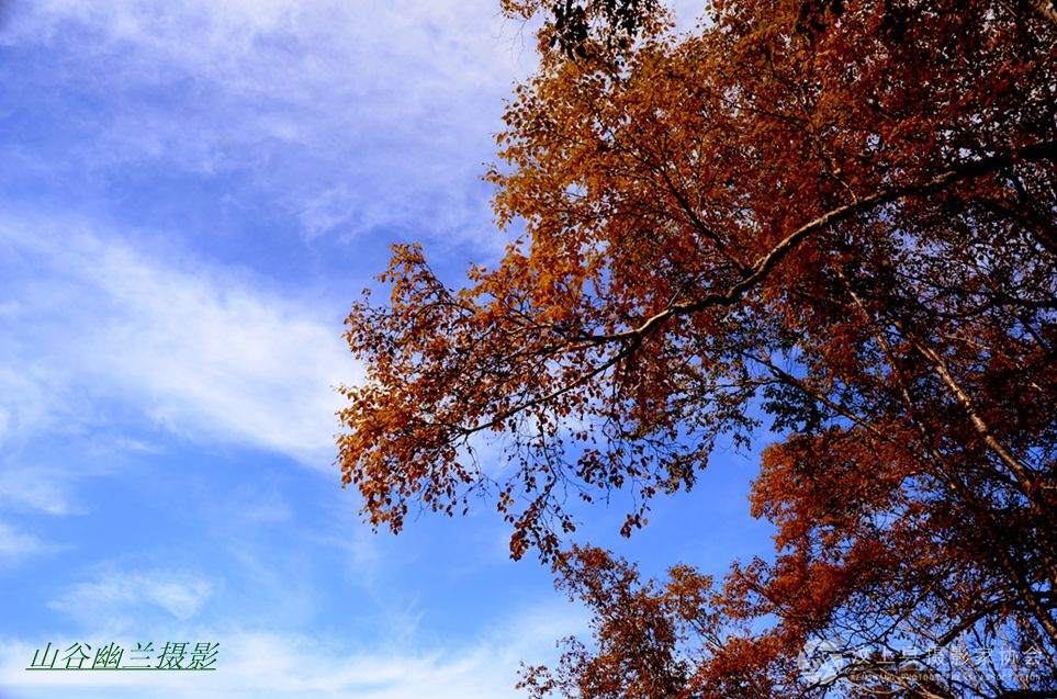 DSC_4486__.jpg