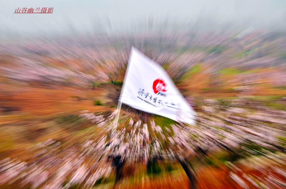 旗帜高扬花海中.jpg