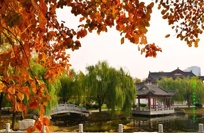 长乐湖红叶，.jpg