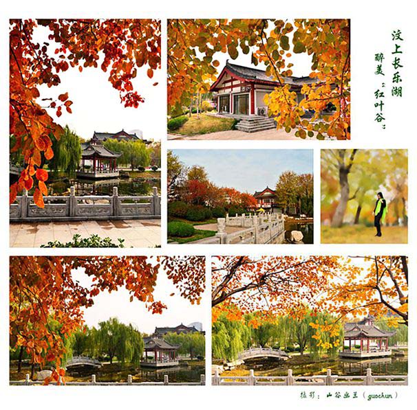 汶上长乐湖，醉美“红叶谷”.jpg