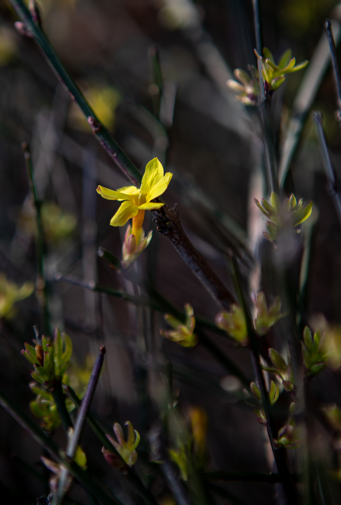 AT5I6478.jpg