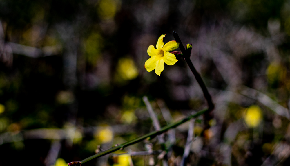 AT5I6494.jpg