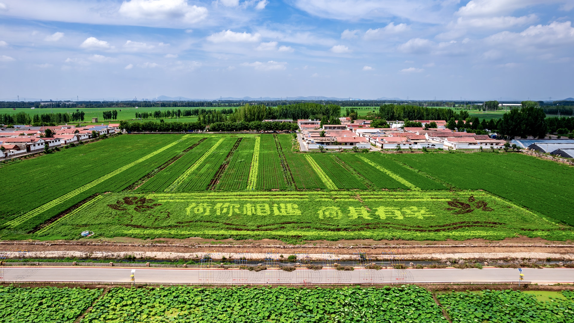 DJI_0958-已增强-NR_2.jpg