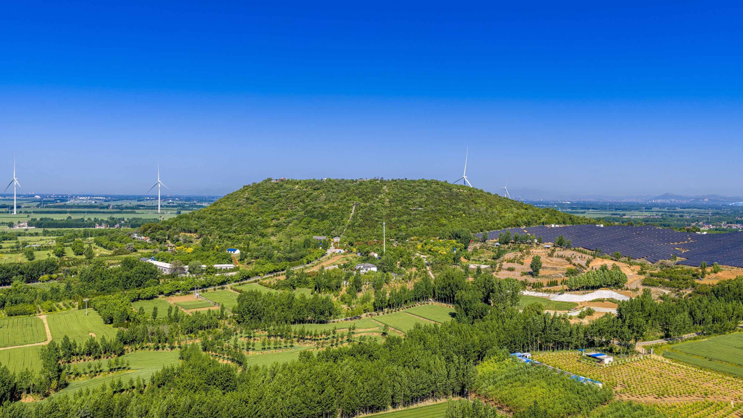 DJI_20260504090737_0091_D.jpg