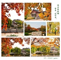 汶上长乐湖，醉美“红叶谷”