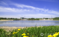 南湖之夏