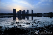南湖