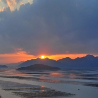 夕阳