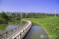 汶上莲花湖湿地一角，很少有人去到这个地方