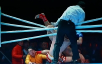 武林雄风
